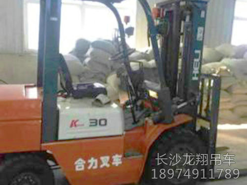 大小叉车-(2)