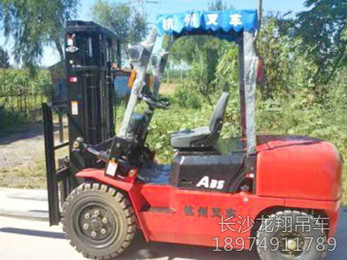 大小叉车-(3)