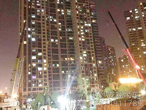 河西龙王港污水环保工程-(4)